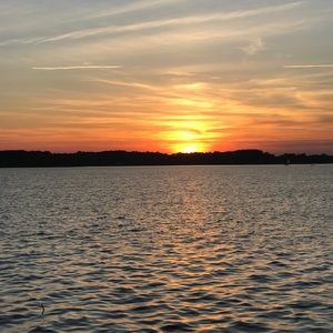 Meet your Posher, Liam